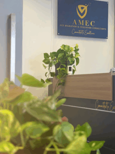 Amec - Ace Migration and Education Consultants