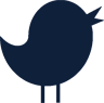 Bird's Basement