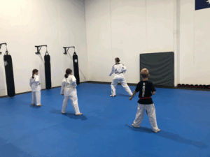 Black Dragon Taekwondo