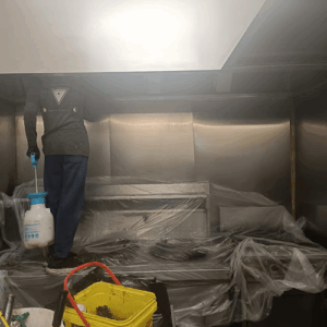Boost Canopy Cleaning Melbourne