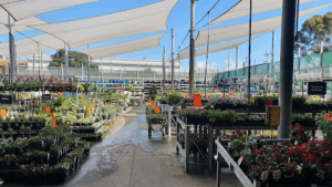 Bunnings