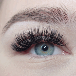 Lashley Beauty