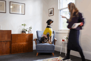 The Melbourne Centre of Psychotherapy and Consultancy