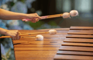 Therese Ng Music Studio