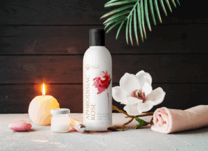 Touch By Venus Massage & Holistic Bodywork